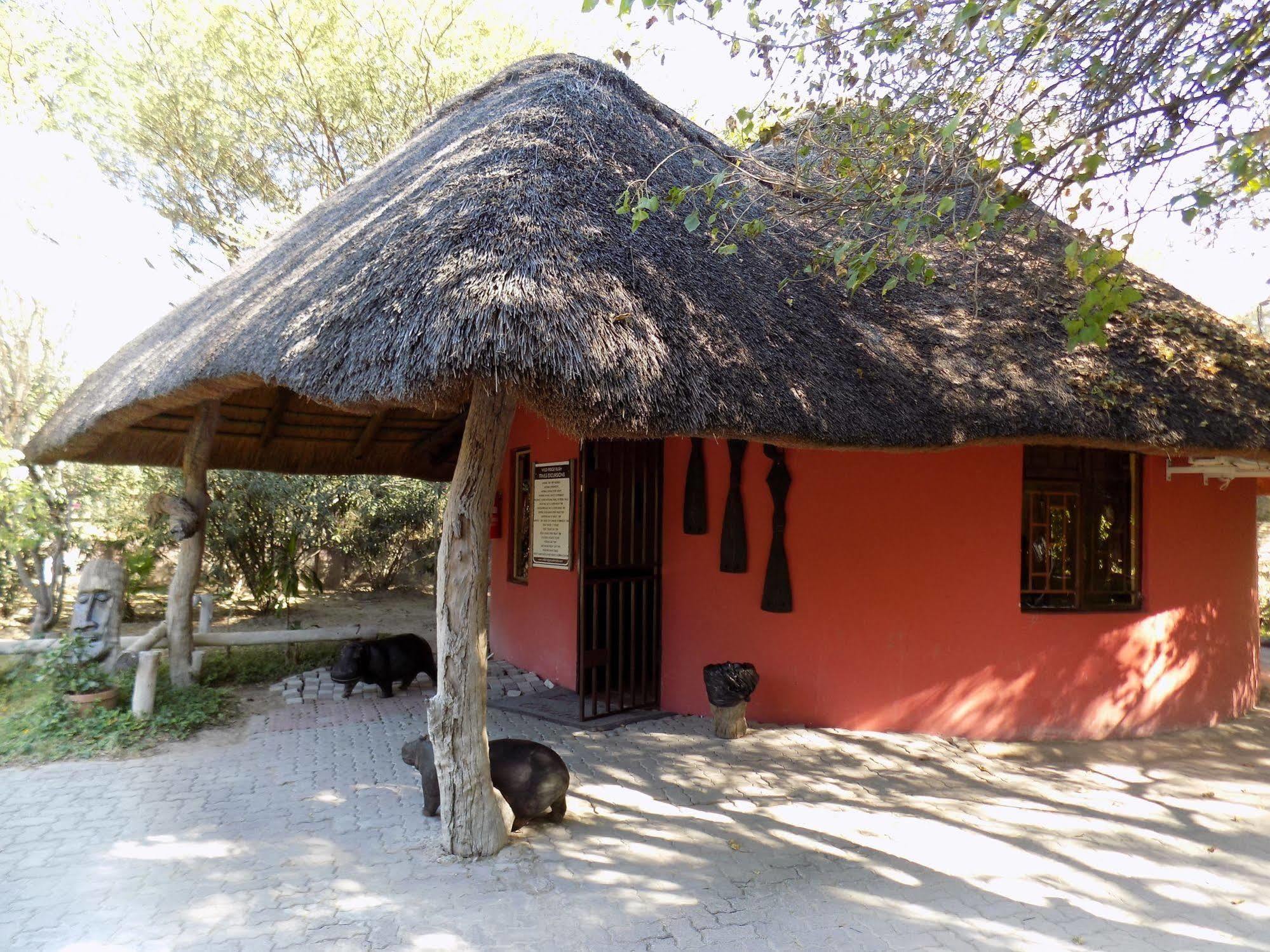 Jump Street Chalets Maun Exterior photo